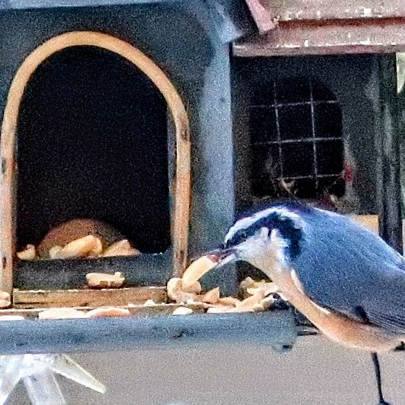 Meet your Posher, Sarah - Picture 3 of 9